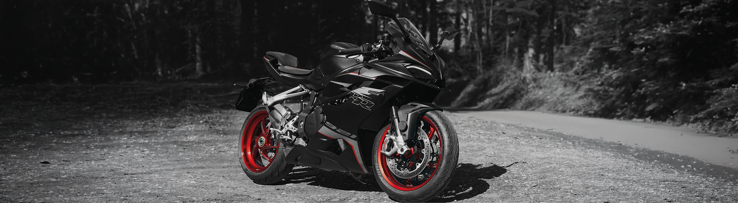 Ein echtes Sport-Racing-Bike mit kompromissloser Performance